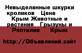 Невыделанные шкурки кроликов › Цена ­ 200 - Крым Животные и растения » Грызуны и Рептилии   . Крым